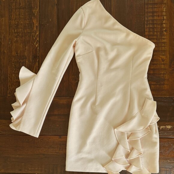 Cinq a Sept Pia Dress in Blush Size 4. GUC. - Picture 4 of 7